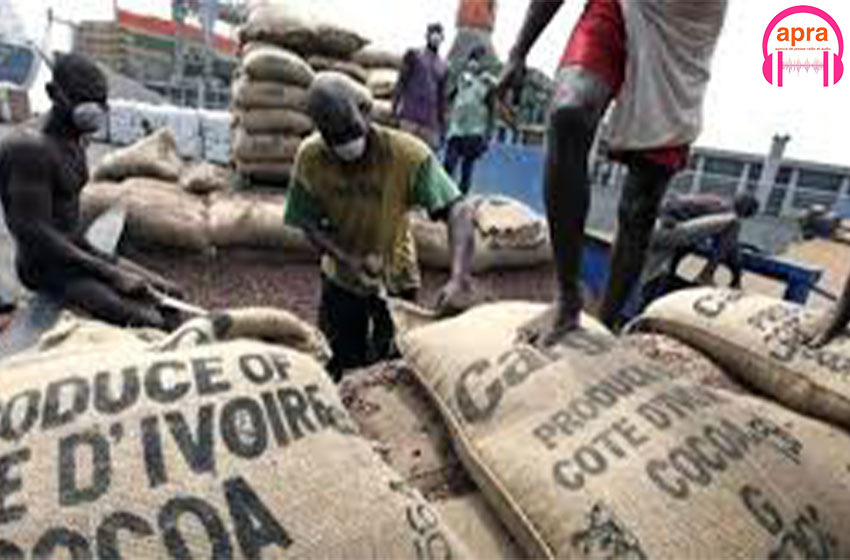 Menace de grève des dockers travaillant au port d'Abidjan et San Pedro dès lundi 05 septembre.
