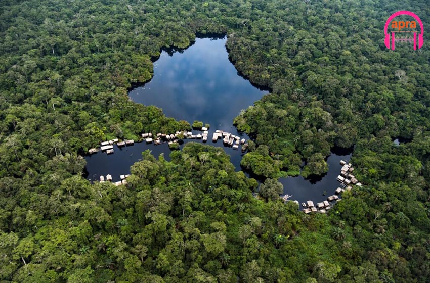 Economie  / 100 millions d'euros pour la sauvegarde du bassin forestier du Congo