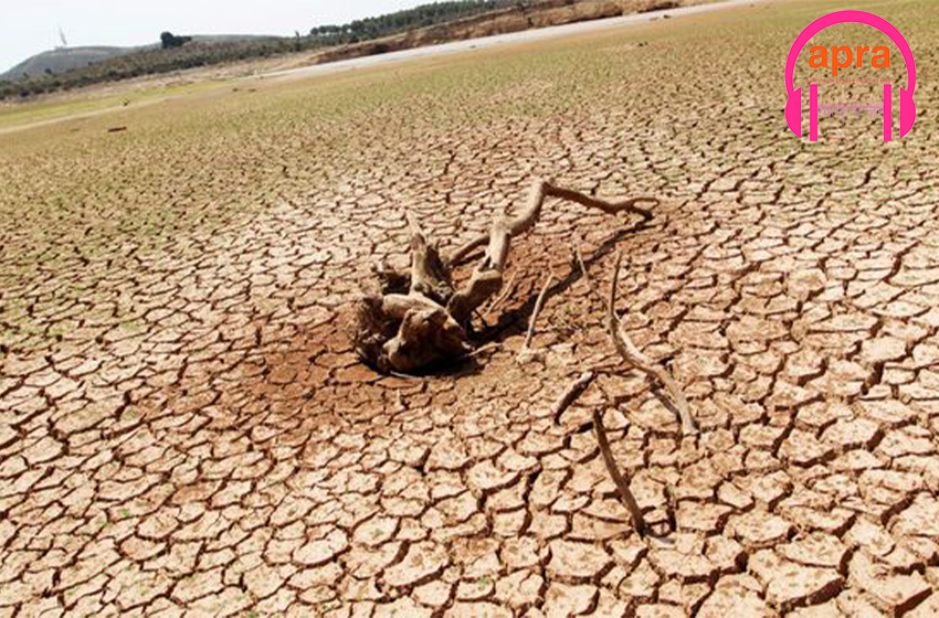 COP 26 : L'AFRIQUE ET LES DÉRÈGLEMENTS CLIMATIQUES.